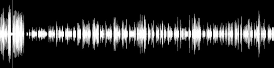 archive.org