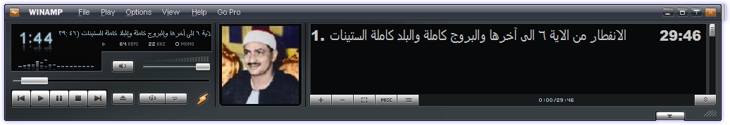 media010.jpg