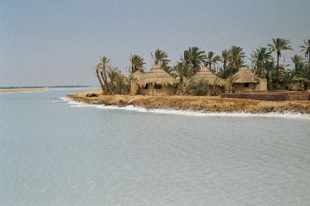 siwa_oasis.jpg