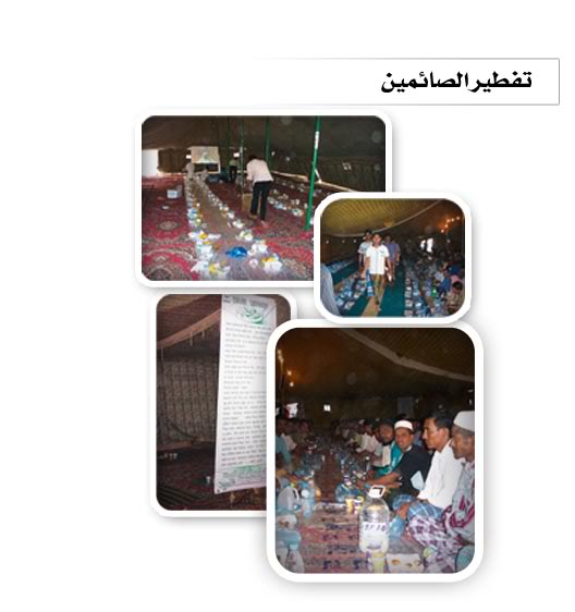 pic15.jpg
