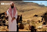 seera10.gif