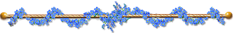 F0003.gif