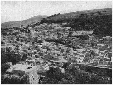 Safad03.jpg