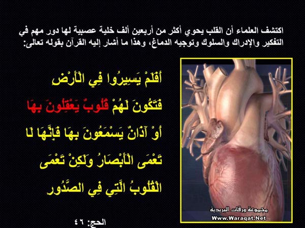 e3gaz_alrb5.jpg