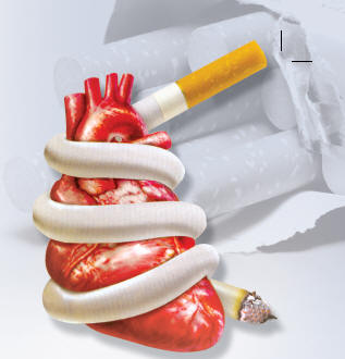 hanaa_cigar.jpg