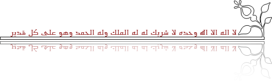 0216110802178son6zjvu0.png