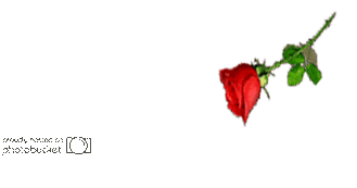 La-Tansa.gif