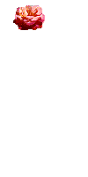 2227.gif