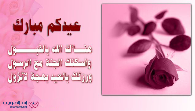 card13.jpg