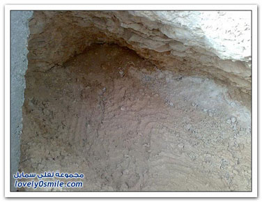 from-24-5-www.uaeec.com3.jpg