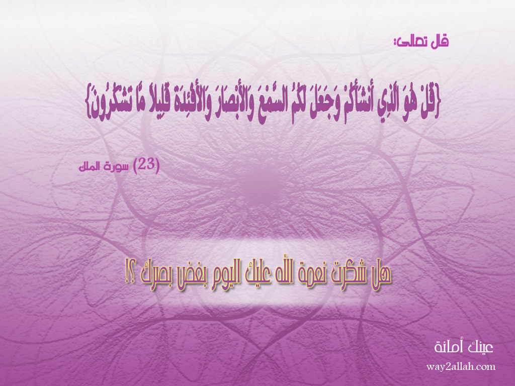 3489734680_3a0a853d70_o.jpg