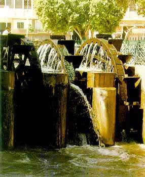 fayoum.jpg
