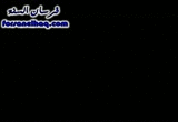 091114_1806.gif