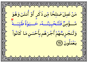 ayah3.png