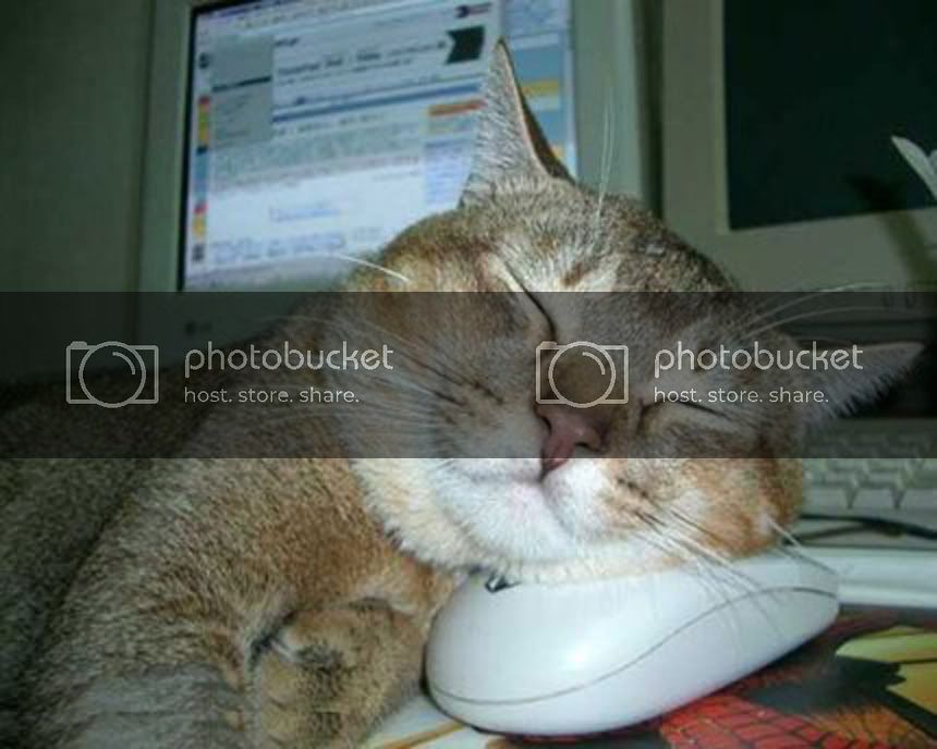 catlovemouse.jpg