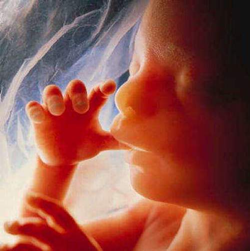 baby_32658.JPG
