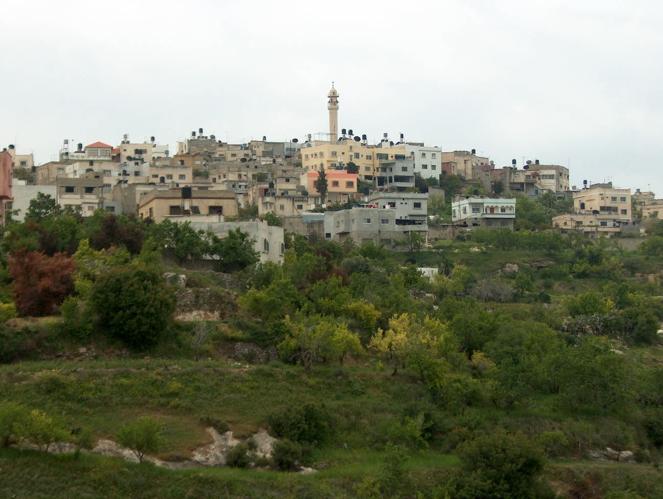 Seida-23130.jpg