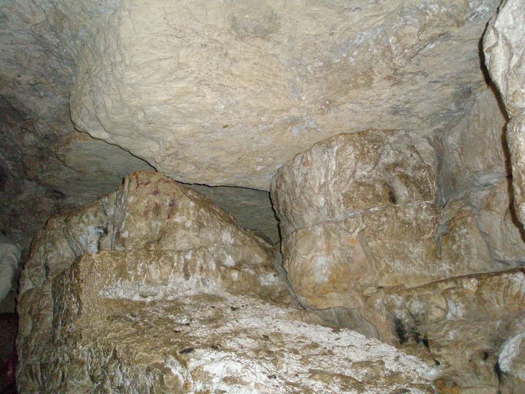 508548906_edbb059f3d_b.jpg