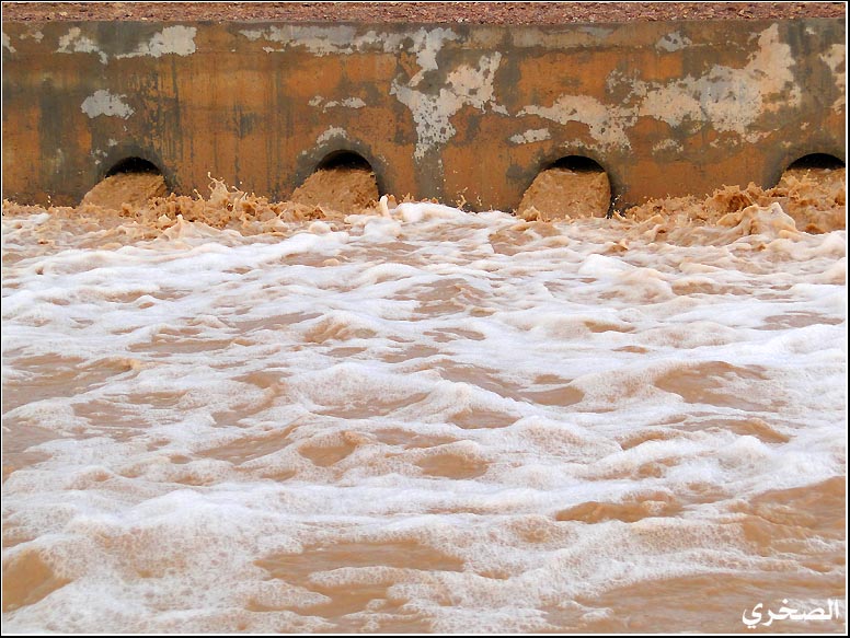 mk19960_salh45.jpg