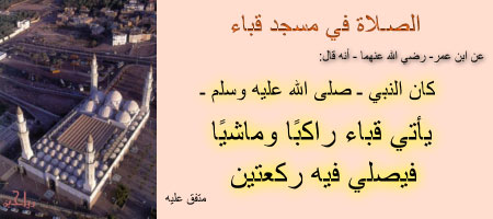 bitaqaar-mahjor-13.jpg