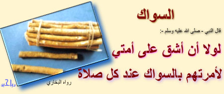 bitaqaar-mahjor-10.jpg