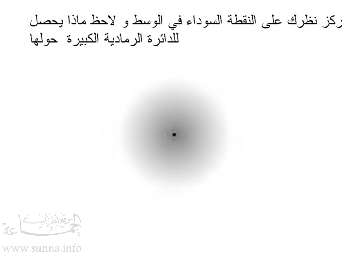 slide5.jpg