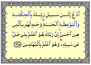 ayah2.png