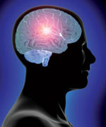 Brain_150.jpg