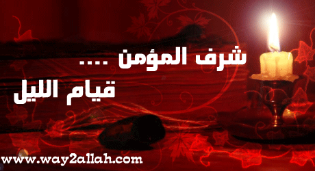 3411201155_6aa54a7733_o.gif
