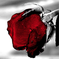 graaam-57d2406c5a2.jpg