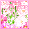 598018n771ad1yy8.gif