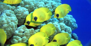 hurghada_28.jpg