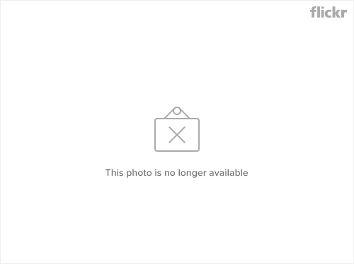 2459580640_73d2daa9df_o.gif