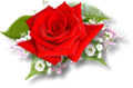 179654.gif