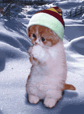 mbf73dci.gif
