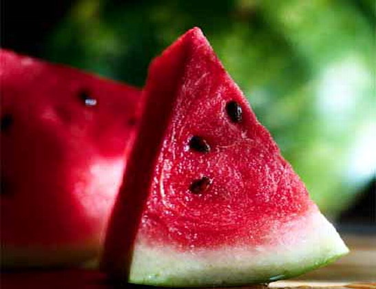watermelon2-saidaonline.jpg