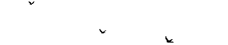 7521_1180275748.gif