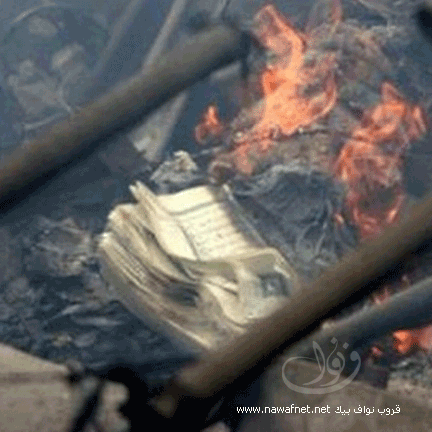 3078_p99493.gif