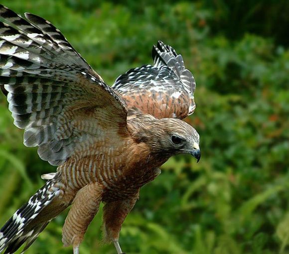 170.jpg