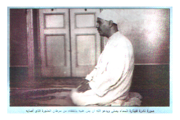 r305fa20.jpg