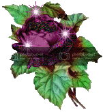 ro1.gif