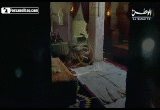 seera07.gif