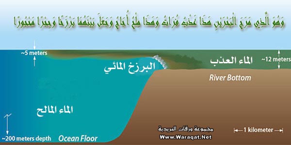 e3gaz_alrb22.jpg