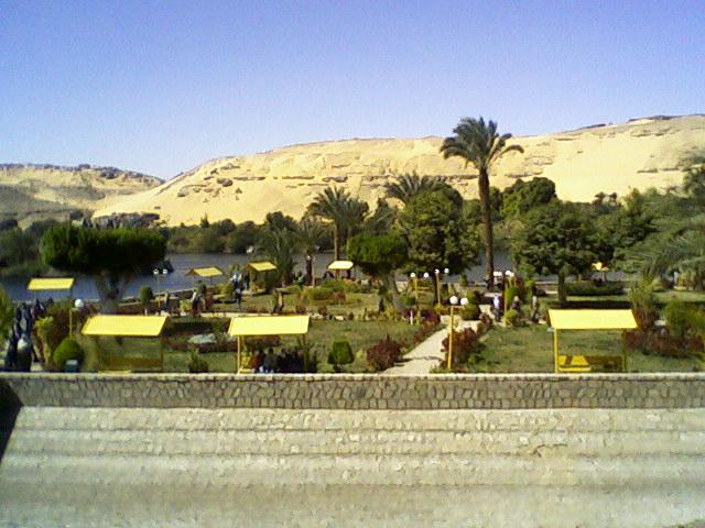 liilasup2_6324cbcab1.jpg