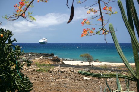 container-ship.jpg