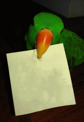 image.gif