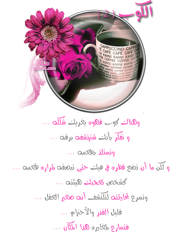 112810111141qkrk9krx.png