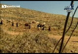 seera12.gif