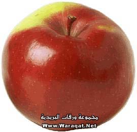 manat-tefa71.jpg