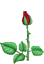 post-23501-1165186487.gif
